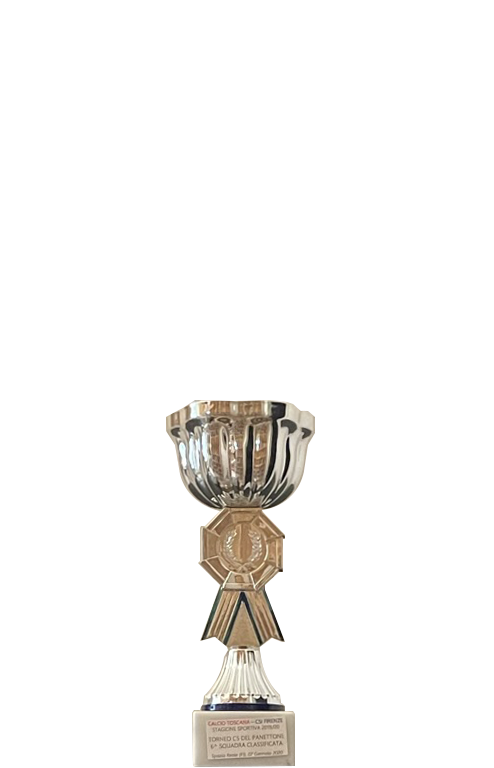 Torneo del Panettone (2019/20), Villaggeri